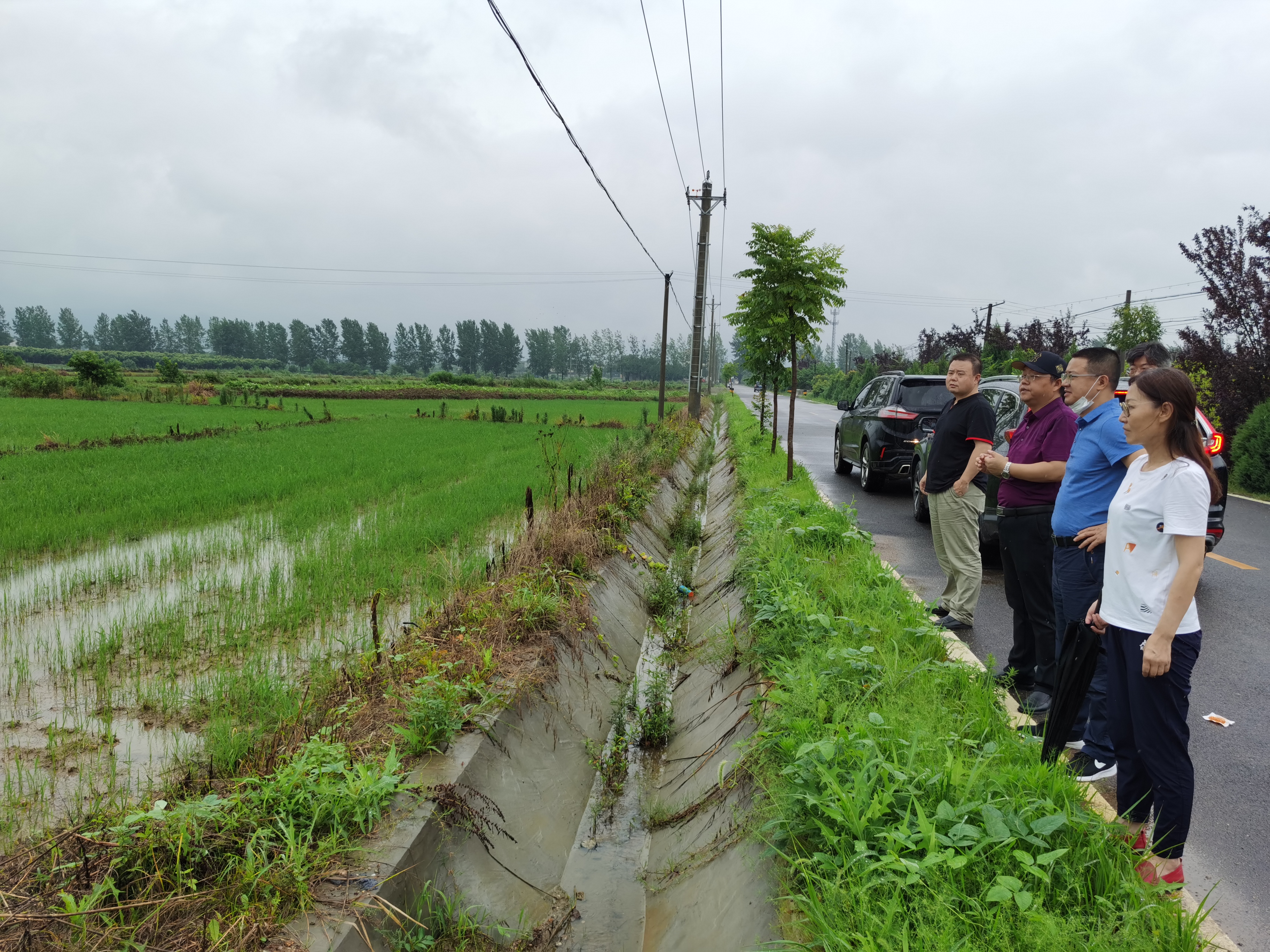 市社副书记张家才前往黄陂云雾山生态农业观光园和新洲凤凰镇宏博泰茶厂调研2